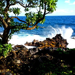 Artist Off the Grid photo