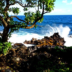 Artist Off the Grid photo