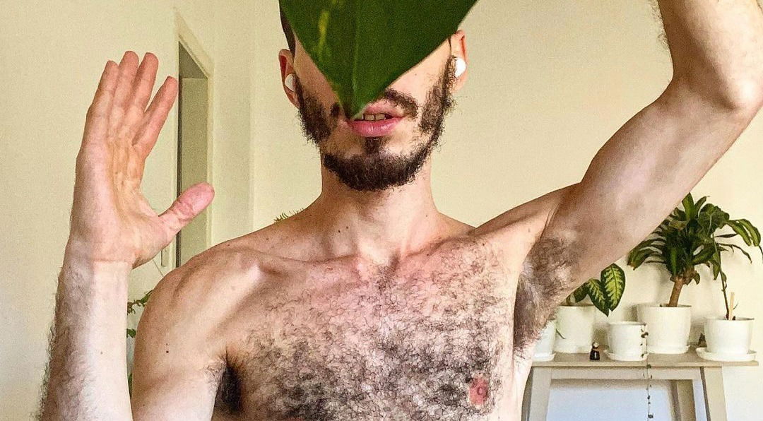 Bernardot 🍆 photo