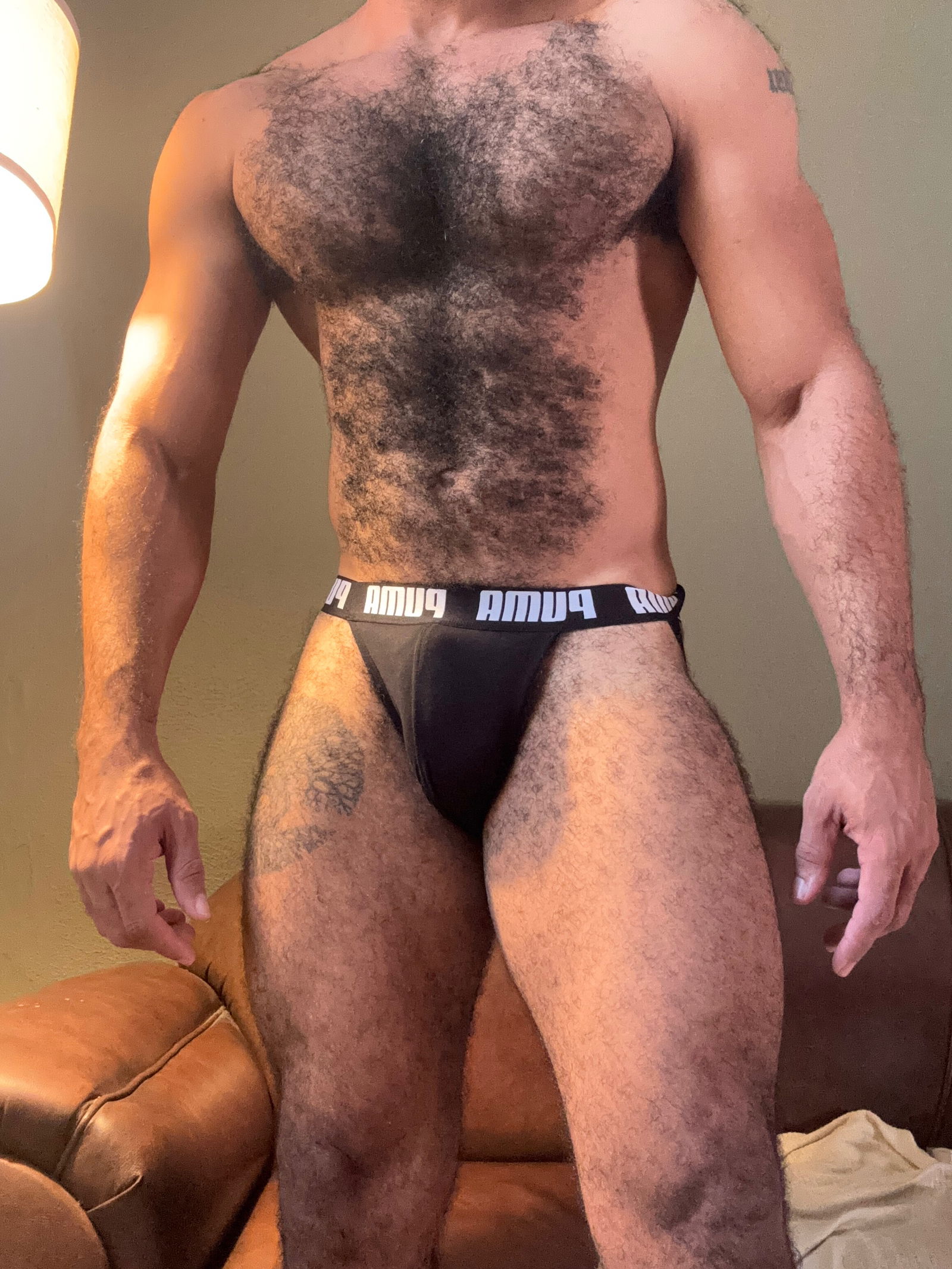 Sir Dobermann Free photo