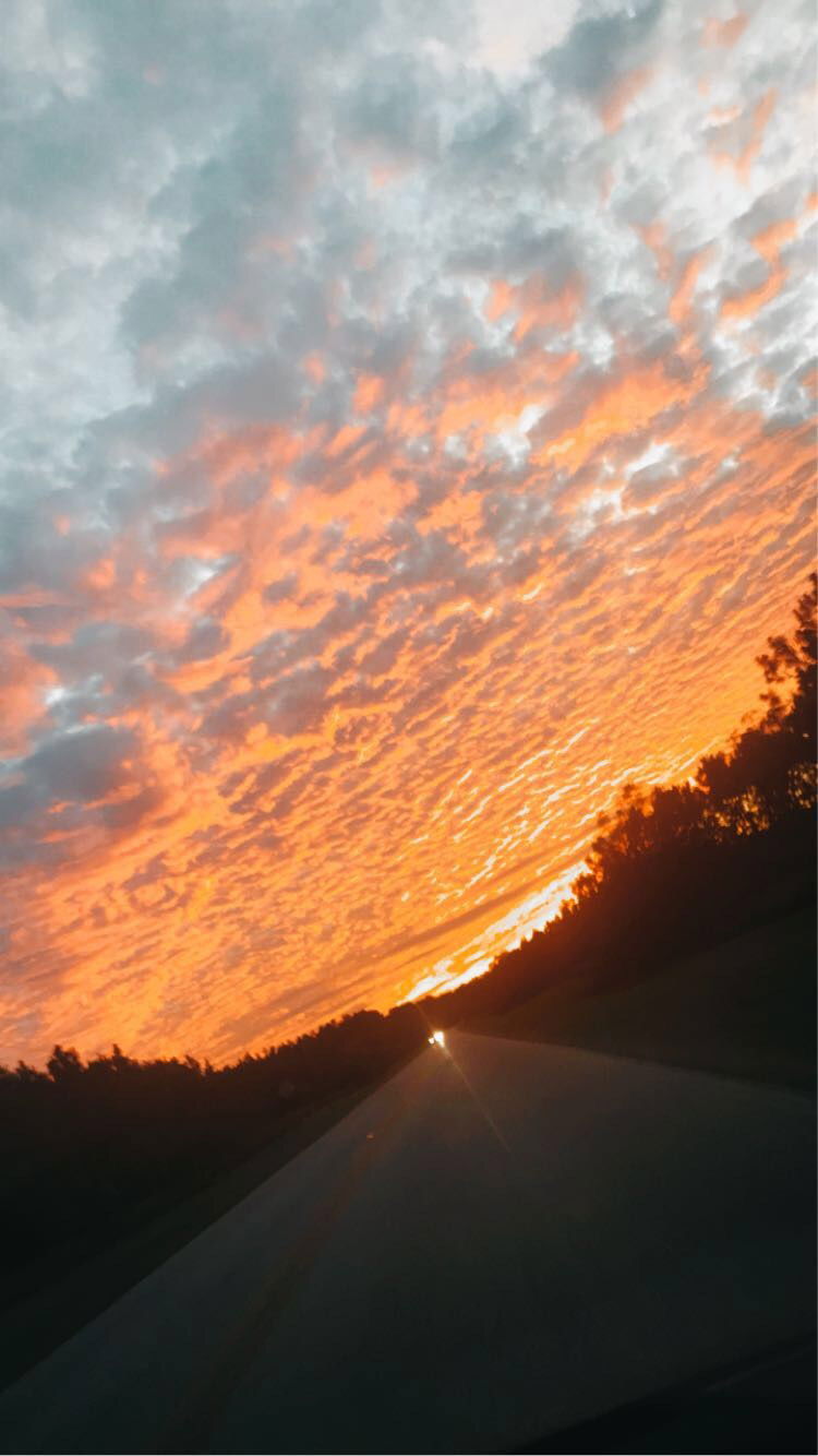 Ashley Proctor photo