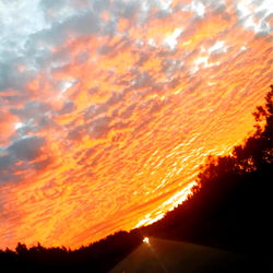 Ashley Proctor photo