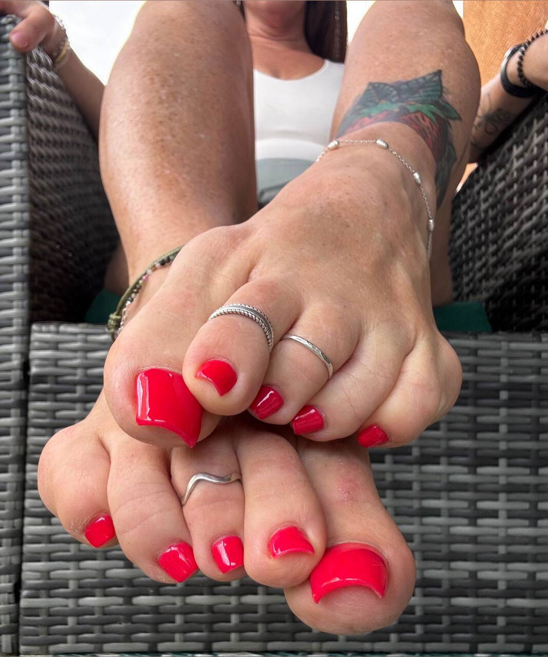 DesertRedSoles photo