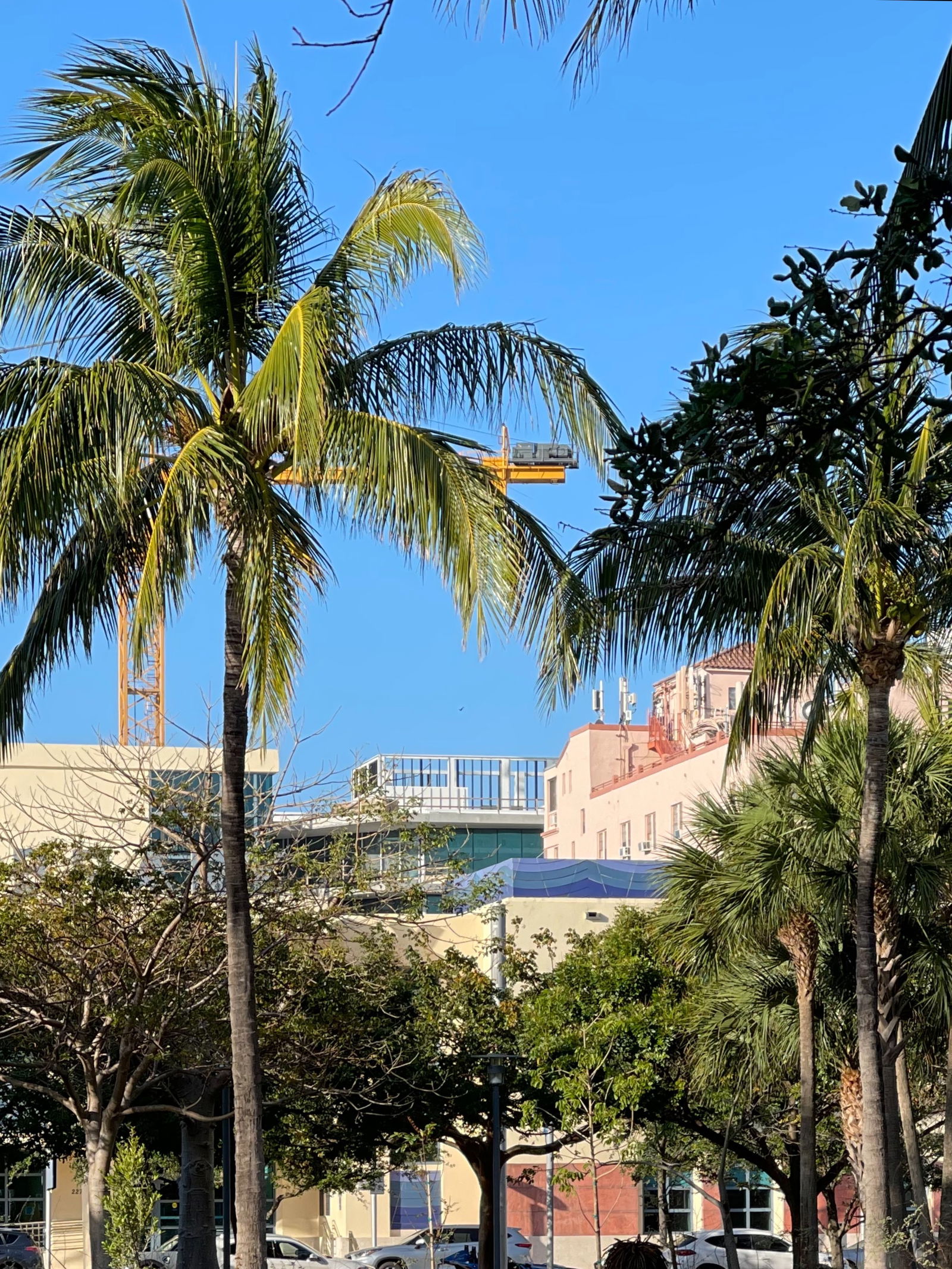 Orlando  Lopez photo