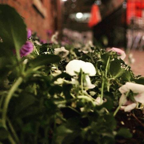 Anonymous Jake photo