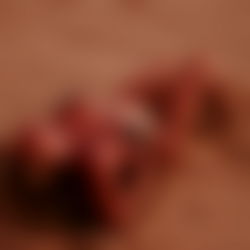 Chloe Michelle photo