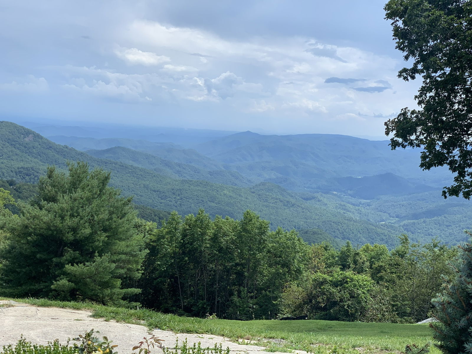 Aaron Hamilton photo