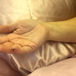 💋💎𝔸𝕪𝕝𝕒 𝕍𝕚𝕖𝕨𝕞𝕠𝕣𝕖💎💋 photo