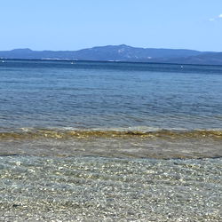 Angel Unicorn Magic photo