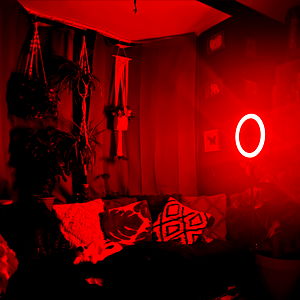 Emerald + Odin photo