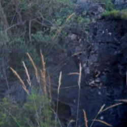 Aidan Kingsley photo