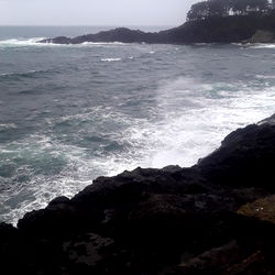 American whore stories photo