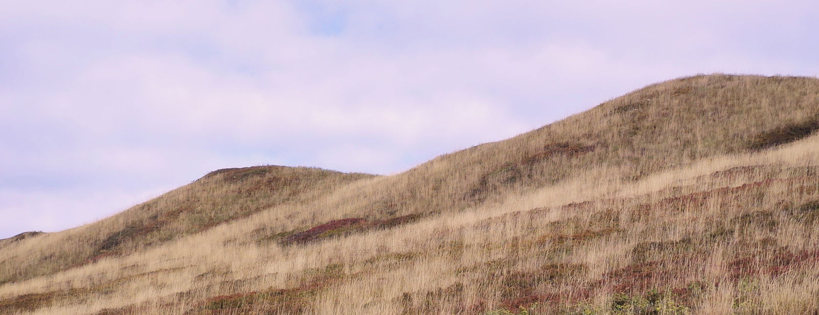 Adventurous Dee photo