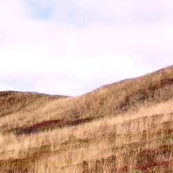 Adventurous Dee photo