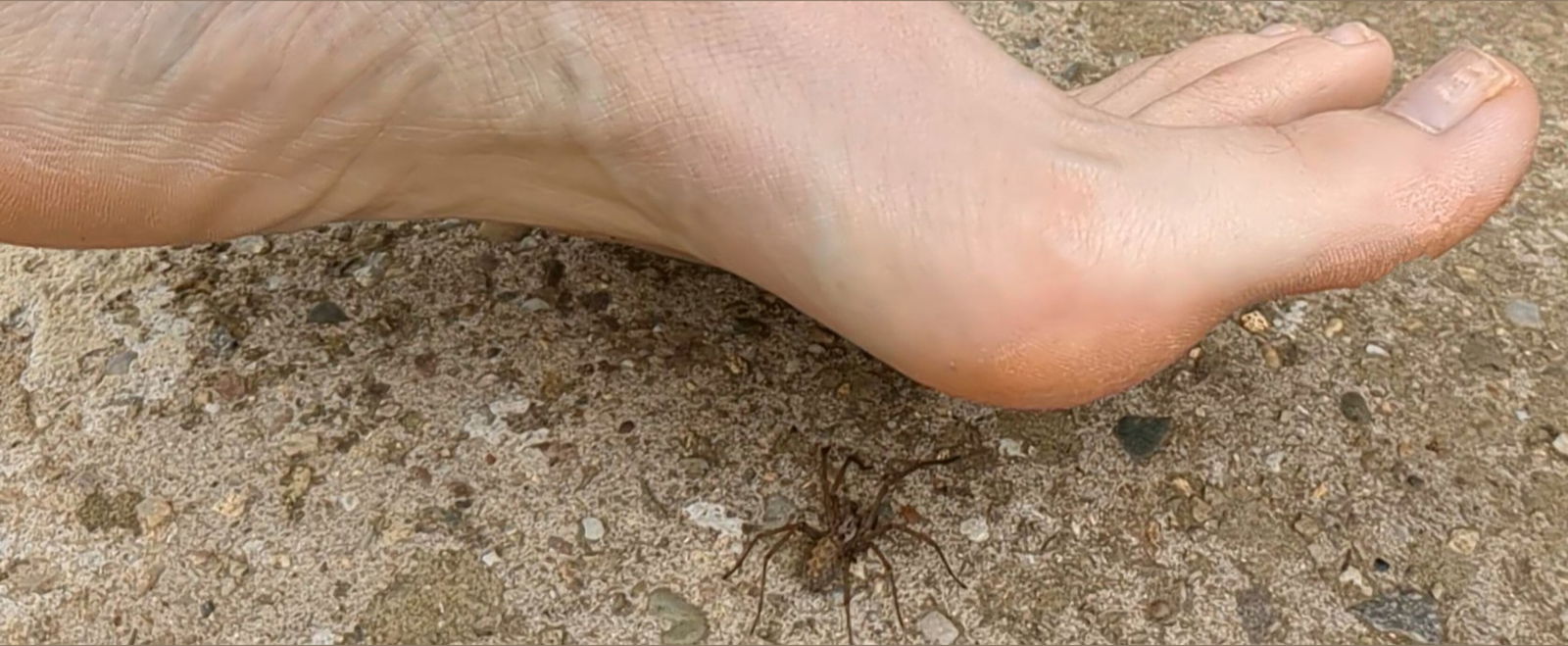 Crush Vore Giantess Goddess photo