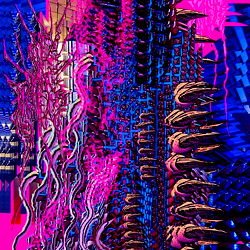 Babie Gatorade photo