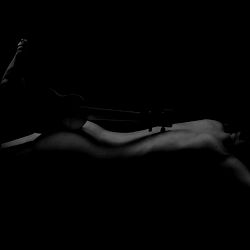 Amber Bariaktari photo