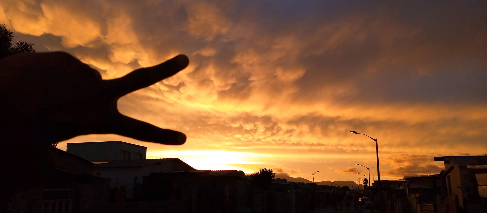 Vegisto🍆🍆🍑 photo