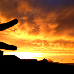 Vegisto๐๐๐ photo