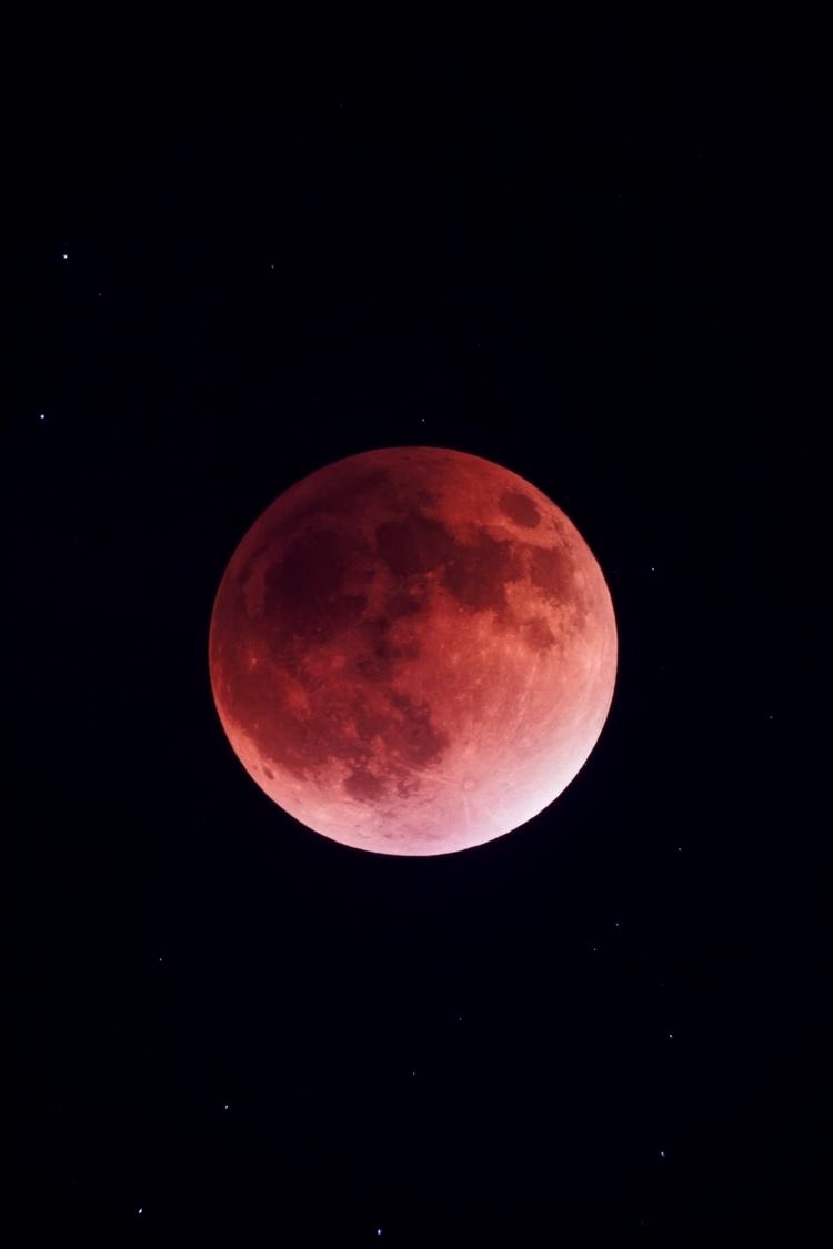 Alejandra Luna photo