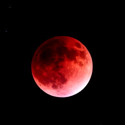 Alejandra Luna photo