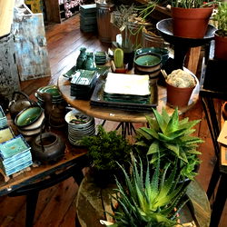 A colorful and eclectic indoor plant shop with a variety of pots and plants