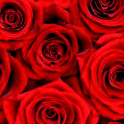 ❤️❤️❤️ photo