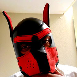 BStarrLiveAndDirect photo