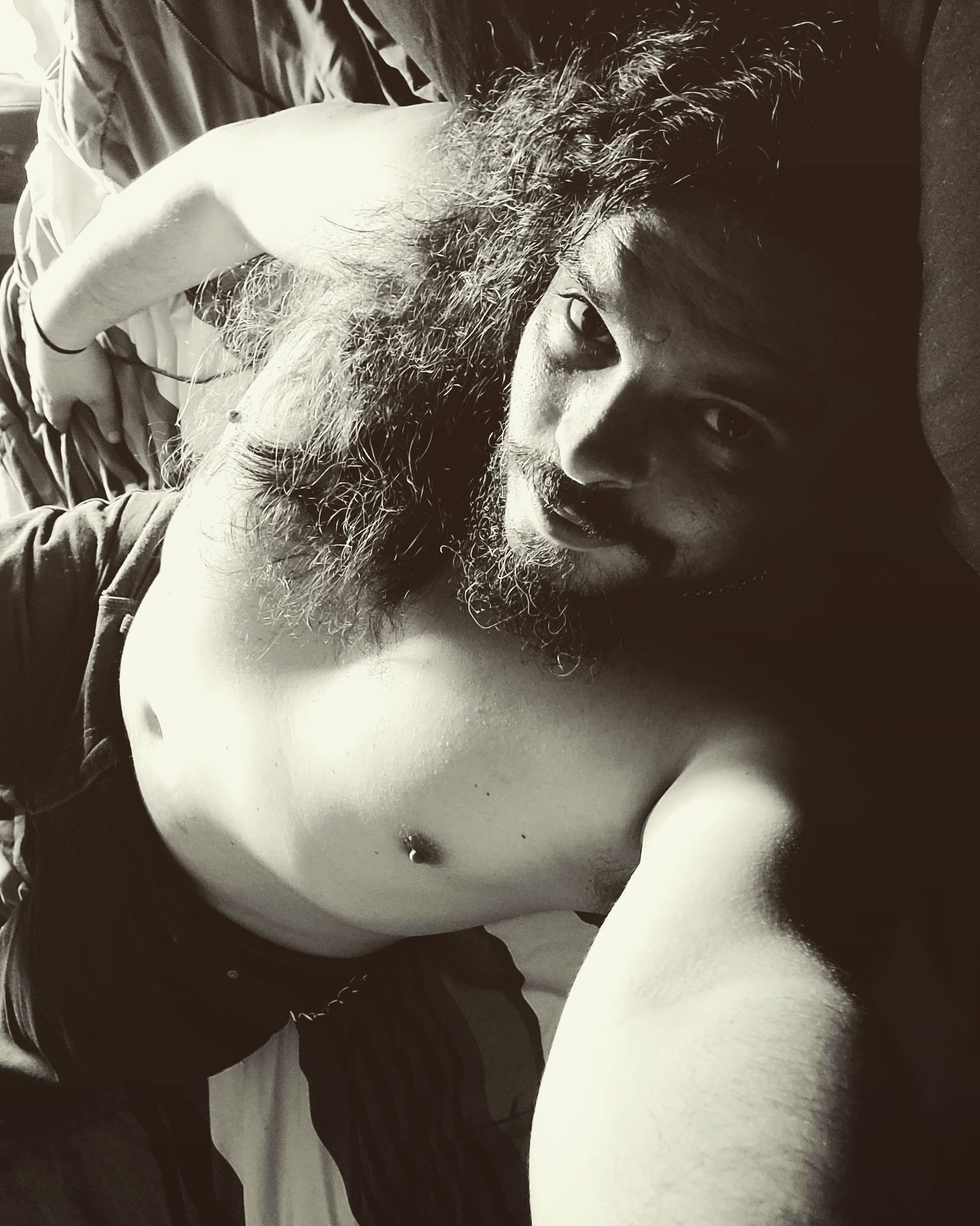 Ashicus The Gentleman Fox photo