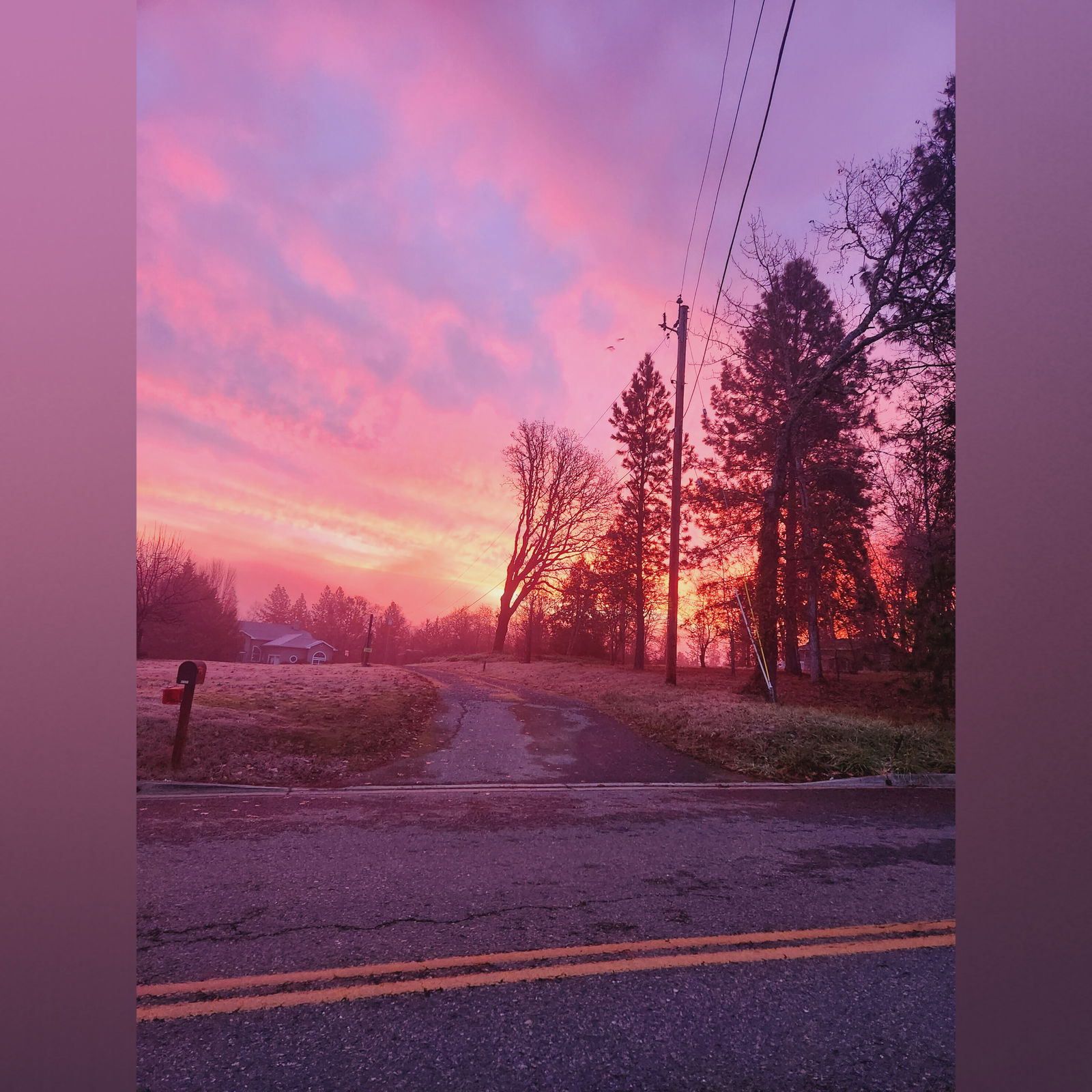 Forbiddenaffairs photo