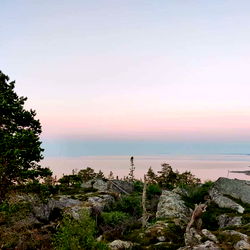 Clara  ๋࣭ ⭑ photo