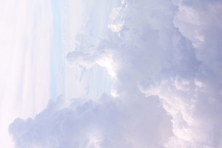 Arielle’s Toesies photo