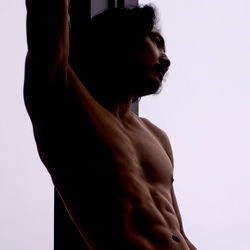 Leo Vice: A Model's Perspective