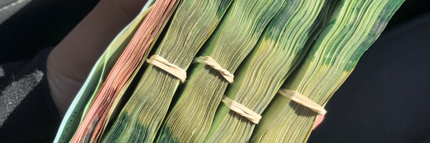 Darcie Cameron photo