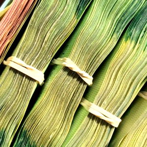 Darcie Cameron photo