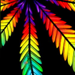 SabrinaSummersVIP photo