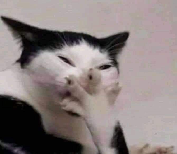 J.U.N.I.O.R (D) photo