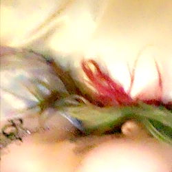 Bratty and Beautiful Neighbor