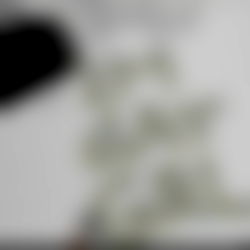 Cocoa Bunnyโค๏ธโ๐ฅ๐ฆ photo