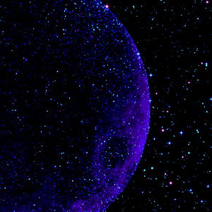 Savore Minx ๐ฆ photo