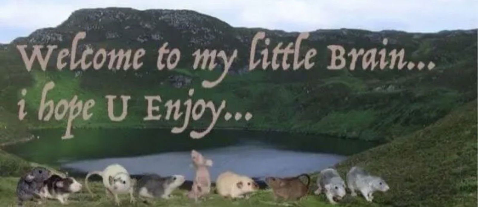 𝓵𝓪𝓷𝓲 photo