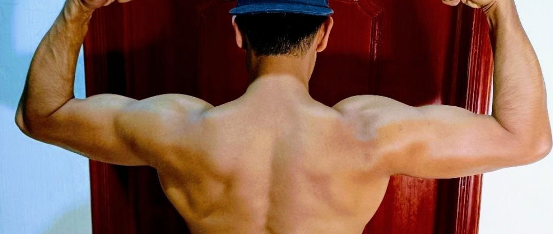 Rey de Chocolate Mexican Stud photo