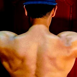 Rey de Chocolate Mexican Stud photo