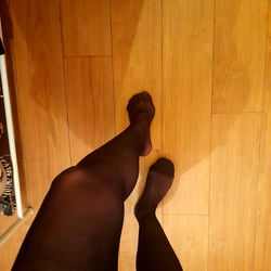 Bummy Walking on Wood Floor