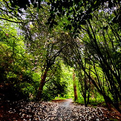 Sasserella ๐ผ photo