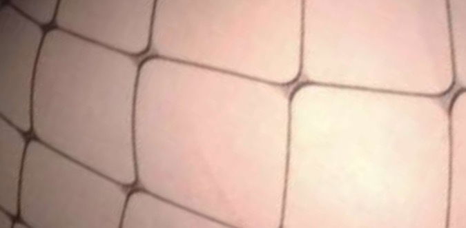 Miss Bunni 💕🐰 photo