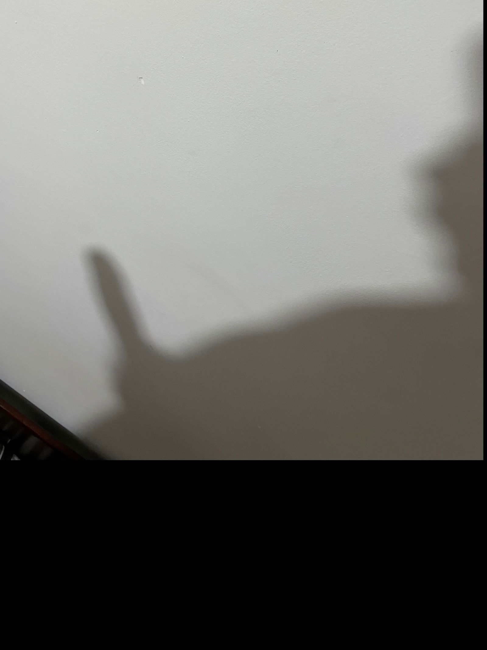 AgonyXXTentation photo