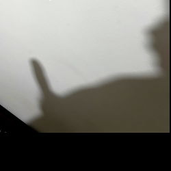 AgonyXXTentation photo