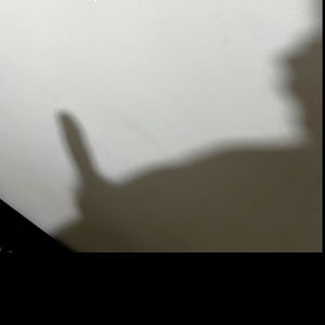 AgonyXXTentation photo