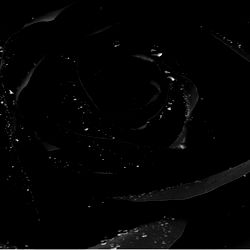 โจ๐Ary Ryannn๐โจ photo